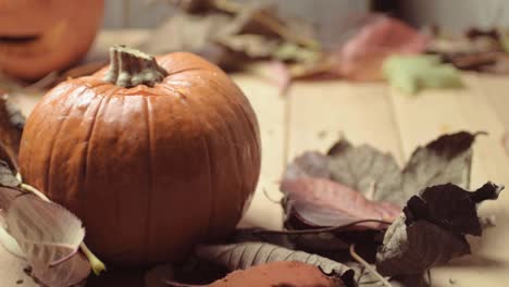 calabaza madura y coloridas hojas de otoño moviéndose mientras sopla la brisa.