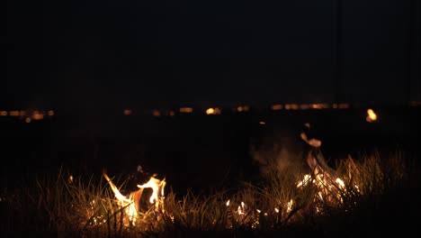 Lauffeuer-In-Der-Nacht