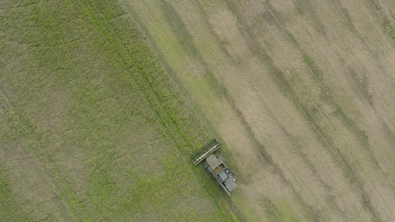 황색 밀을  ⁇ 는 수확기, 기계 뒤에 먼지 구름이 일어나는, 식품 산업, 황색 수확 곡물 작물,  ⁇ 은 여름 날, 상승하는 새 눈 드론  ⁇ 도  ⁇