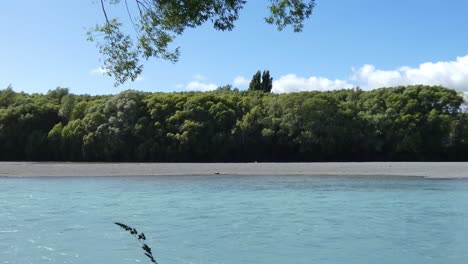 Weidenbäume-Wiegen-Sich-Sanft-Im-Wind-Neben-Einem-Wunderschönen-Türkisfarbenen-Fluss,-Während-Ein-Einsamer-Kajakfahrer-Am-Waimakariri-Fluss-Vorbeipaddelt