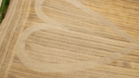 heart pattern in a wheat field - drone shot