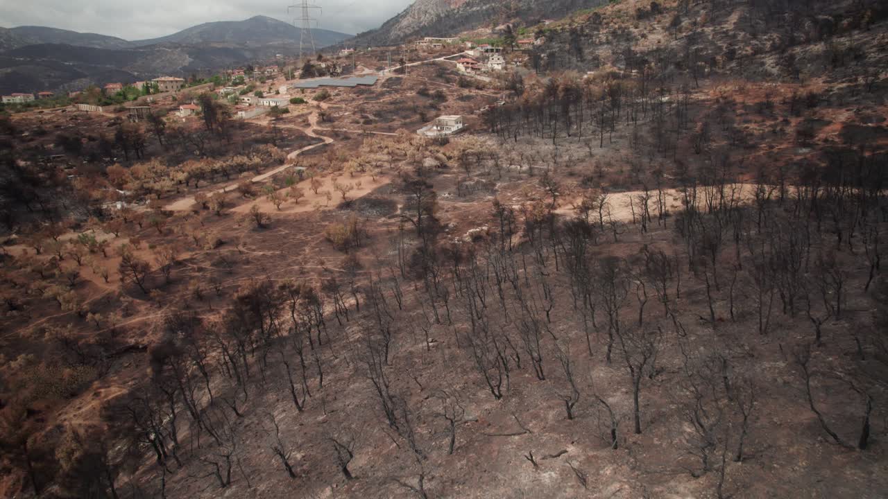 Aerial bird's eye view fly over of charred forest remains of wildfire in Parnitha Greece