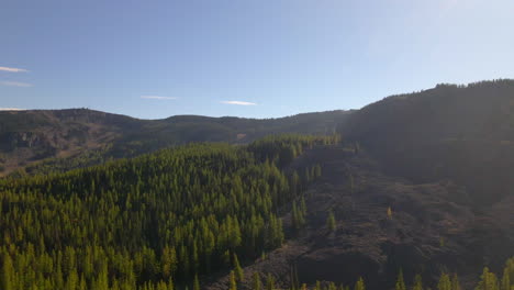 Aerial-view-of-serene-forest-in-Cascade-Mountains,-USA