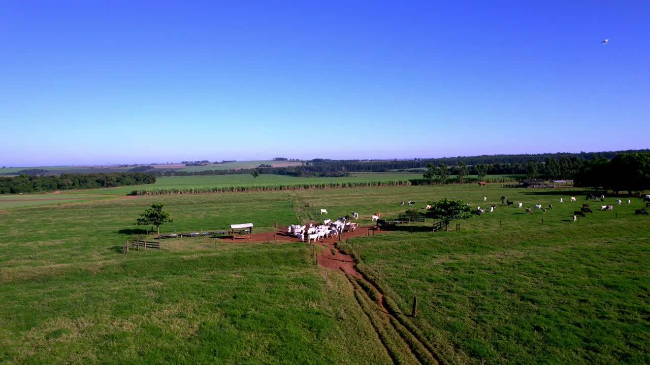 política de agricultura baja en carbono en brasil