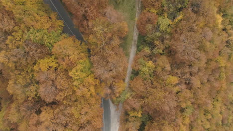 spin aerial footage: road junction in the middle of the autumn colored woods