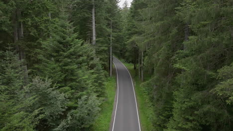 cinematic motion over road in forest with passing car