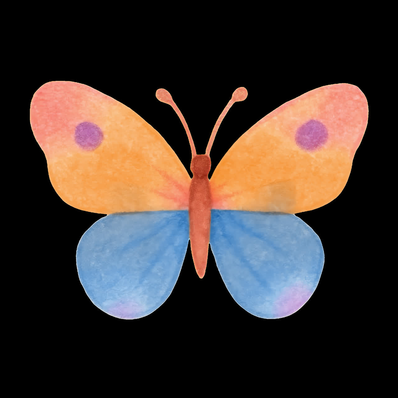 Animazione di illustrazione ad acquerello di farfalla colorata, elemento isolato, video 4K trasparente, alpha