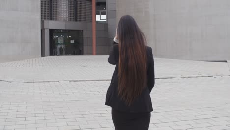 vista trasera de una elegante mujer de negocios
