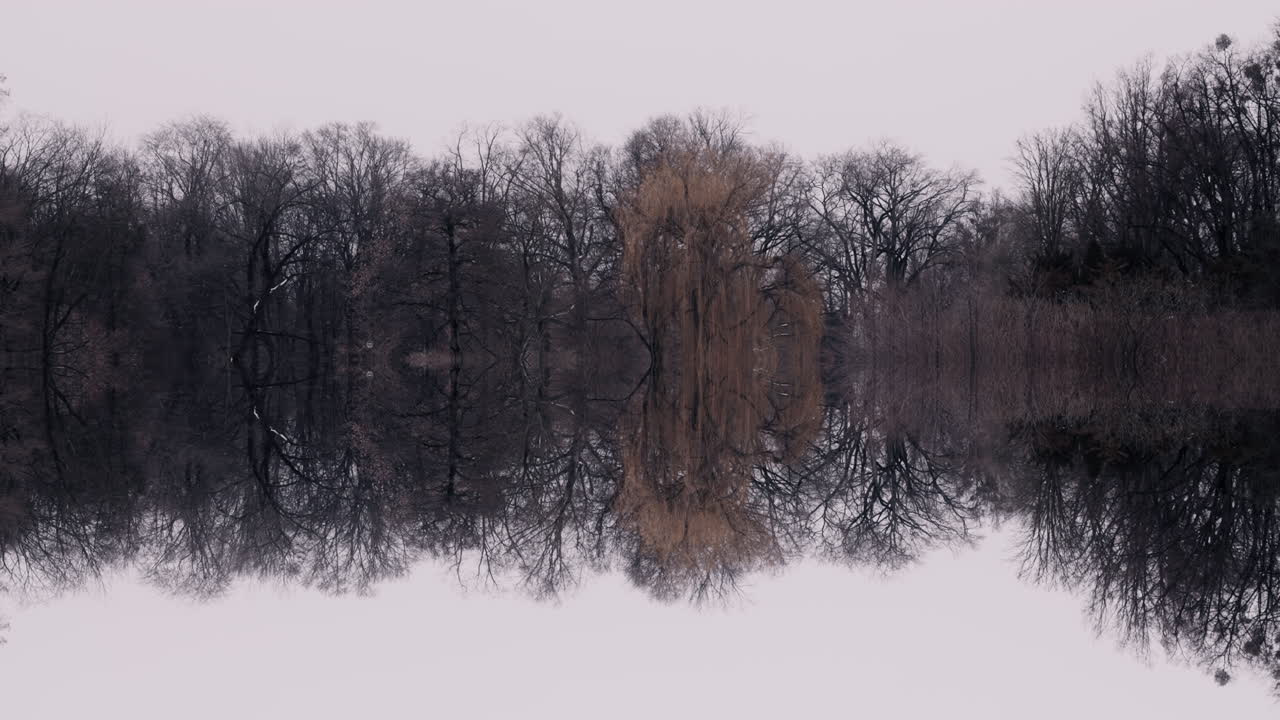 Paesaggio invernale riflettente