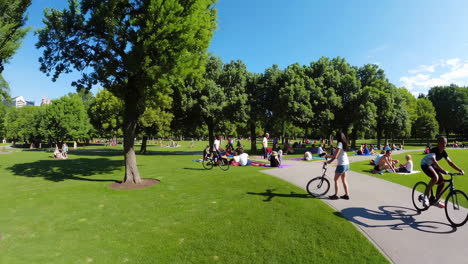 outdoor park activities with a large group