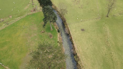 Stream-Flowing-Through-Lush-Green-Hillside-Near-Grasmere-Village-In-Cumbria,-England