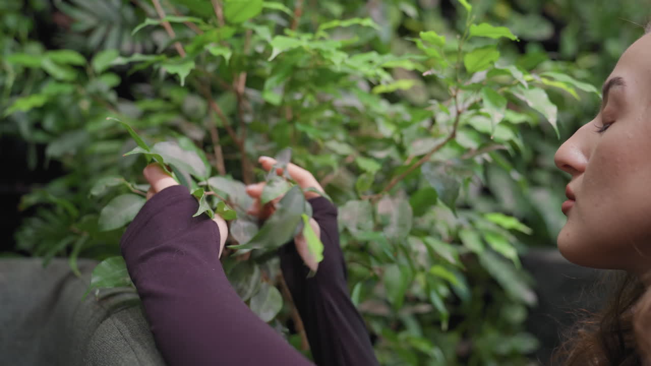 Woman wearing black top focused on touching green leaves with both hands in lush indoor garden surrounded by vibrant foliage, captured in a moment of serene nature interaction and mindfulness