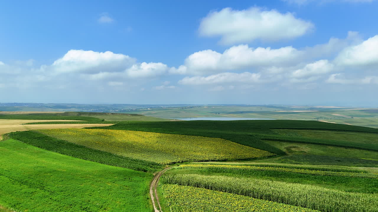Vibrant green fields under a clear sky. Expansive fields of varying greens stretch across the landscape, with a winding dirt path and soft white clouds above