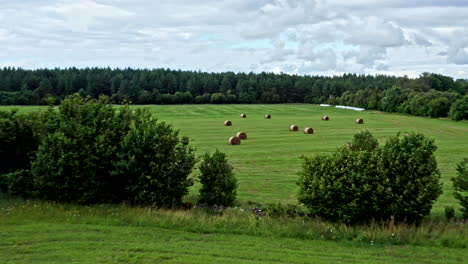 drone flyover of green field with hochsitz and bales of straw - dolly shot