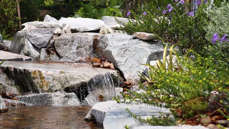 flowing waterfall surrounded by lush greenery