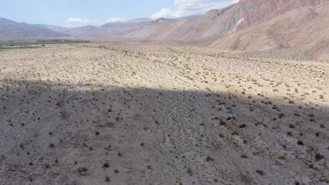 Anza-Borrego-State-Park,-aerial-view-of-dry-terrain-with-wildflowers,-California,-USA