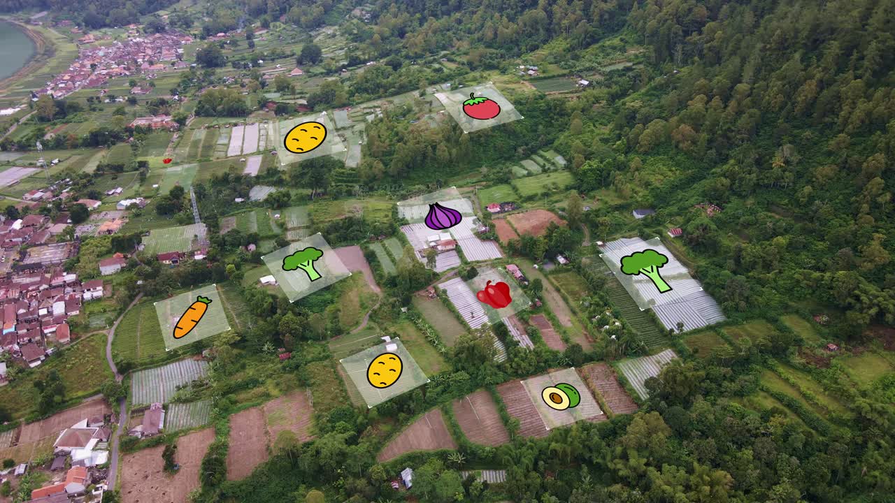 tecnología agrícola moderna que analiza y muestra los cultivos plantados en cada campo agrícola