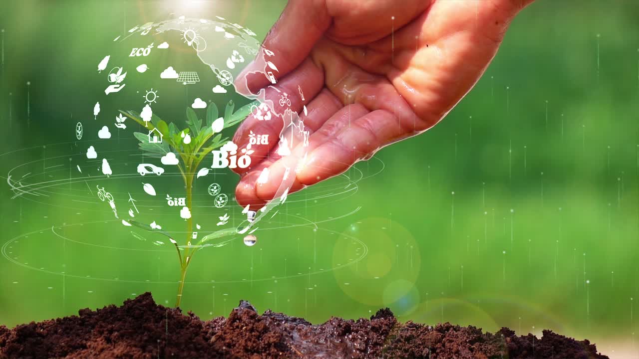 la tierra en un pequeño árbol con el medio ambiente ecología signo holograma en el fondo natural.