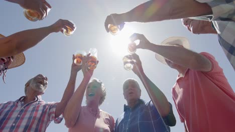 happy diverse senior friends drinking a toast at sunny garden party, unaltered, in slow motion