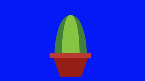 colorful simple animation of a green bush isolated on a blue screen in 4k