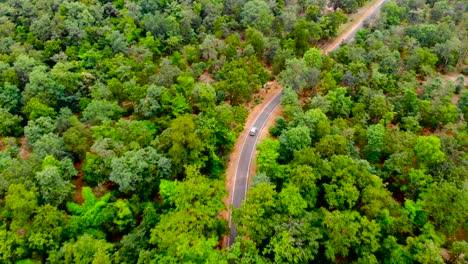 conducir en la naturaleza en india