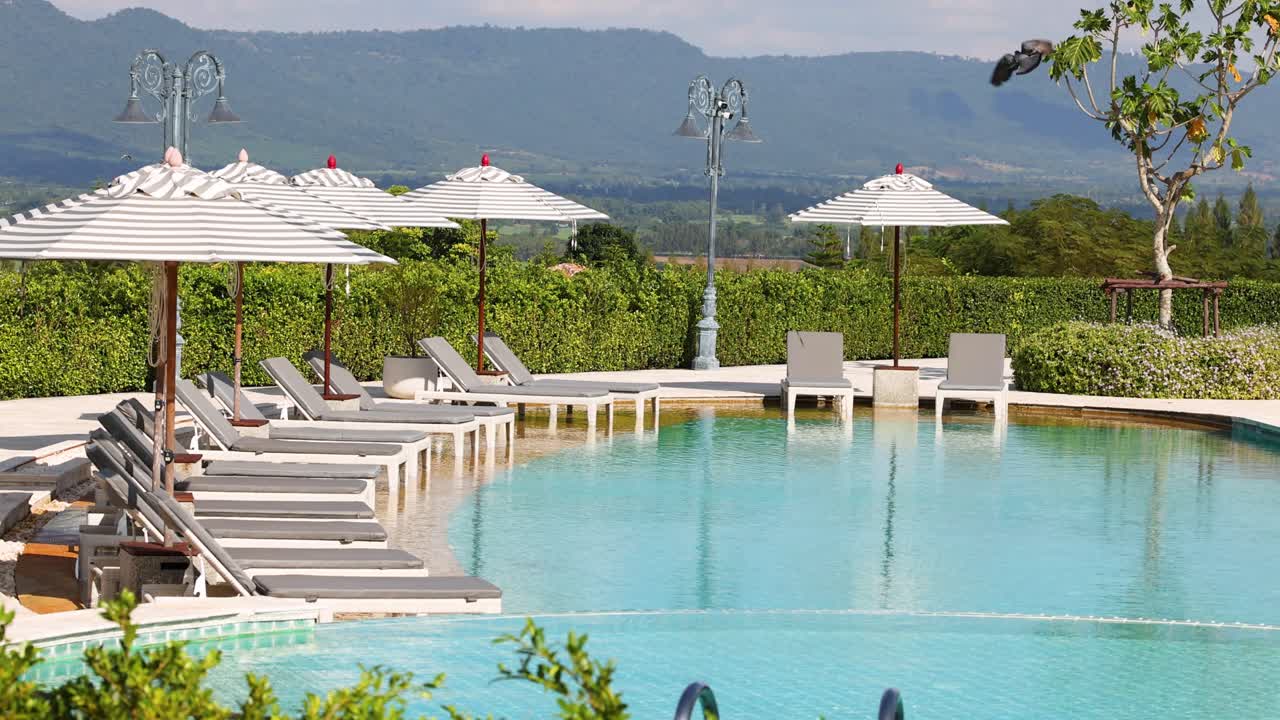 조용한 리조트 수영장에서 새가 날아다닙니다.