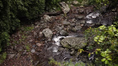 Top-down-shot-of-Cave-Creek-from-along-the-walking-trail,-Natural-Bridge,-Springbrook-National-Park