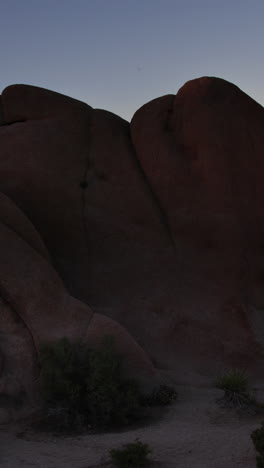 Joshua-Tree-National-Park,-California,-United-States-of-America-in-vertical