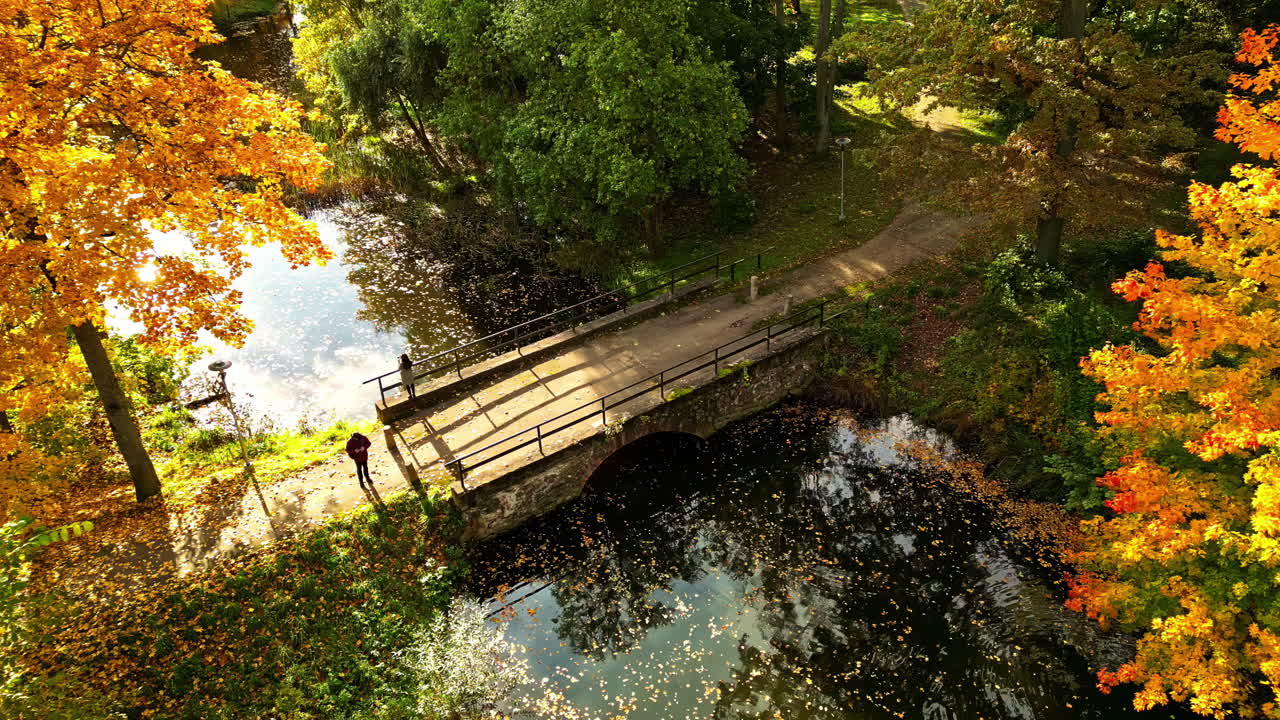 Aerial film of a bridge set against backdrop of an autumnal park
