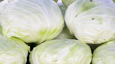 Cabbages-for-sale-at-the-free-fair,-vertical-plan