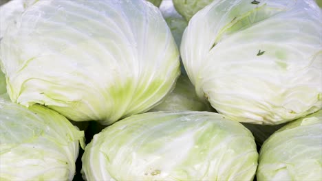 cabbages for sale at the free fair, vertical plan