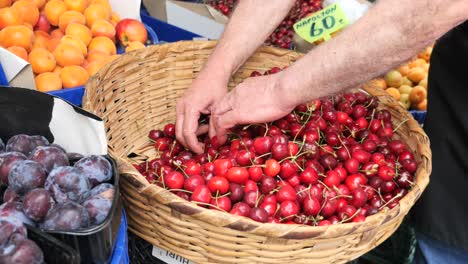 person picking cherries from basket at farmer's market