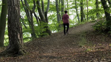 Rear-view-of-single-male-walking-path-in-park-on-sunny-summer-day