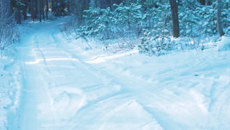 Verschneite-Straßen-Im-Wald