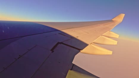 airplane wing and flaps