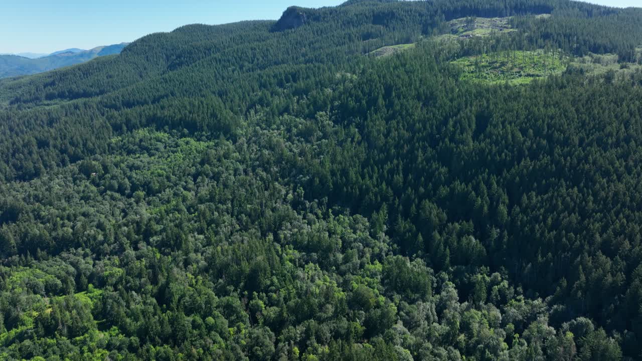 toma aérea que se inclina hacia arriba desde un exuberante bosque verde para revelar una cadena montañosa cubierta de árboles altos