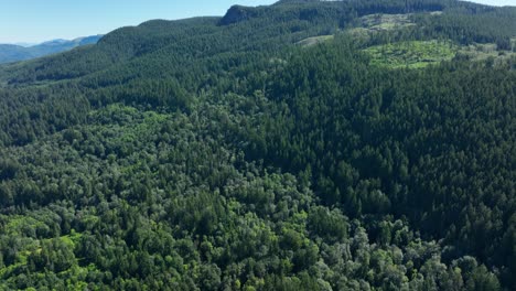 Toma-Aérea-Que-Se-Inclina-Hacia-Arriba-Desde-Un-Exuberante-Bosque-Verde-Para-Revelar-Una-Cadena-Montañosa-Cubierta-De-árboles-Altos