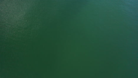 aerial: top view shot of green baltic sea revealing seashore