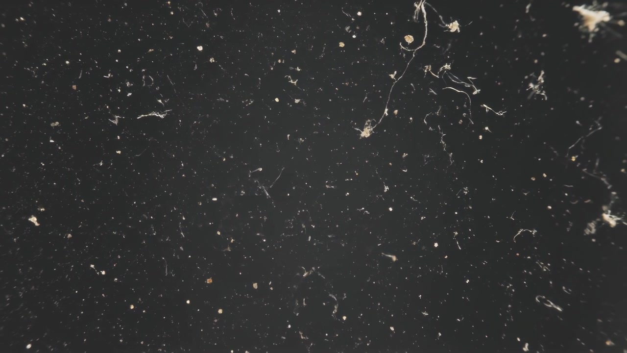 Particelle e pelucchi che si spostano fluttuando su una superficie scura con ottica macro, il movimento dell'aria ne provoca il deposito.
