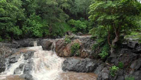 waterfall in the middle of rain forest in india