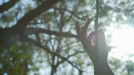 Female-Hand-Sensually-Moves-Down-Vine-in-Forest,-Sun-Flare,-Close-Up