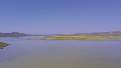 aerial fast pan left of carrizo plain and soda lake in california during the wildflower superbloom