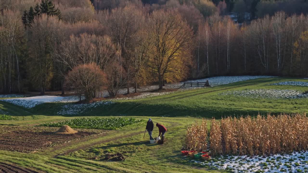 Farmers Harvesting in a Winter Landscape