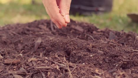 Woman-planting-in-a-field