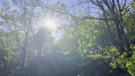 sun flares and flickers through green trees along pathway in valle del jerte