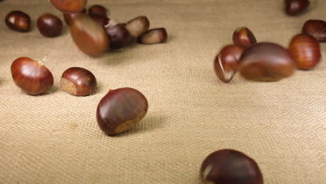 chestnuts on jute canvas background