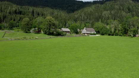 bergdorf in den europäischen alpen, umgeben von grünen wiesen und weiden, jezersko, slowenien