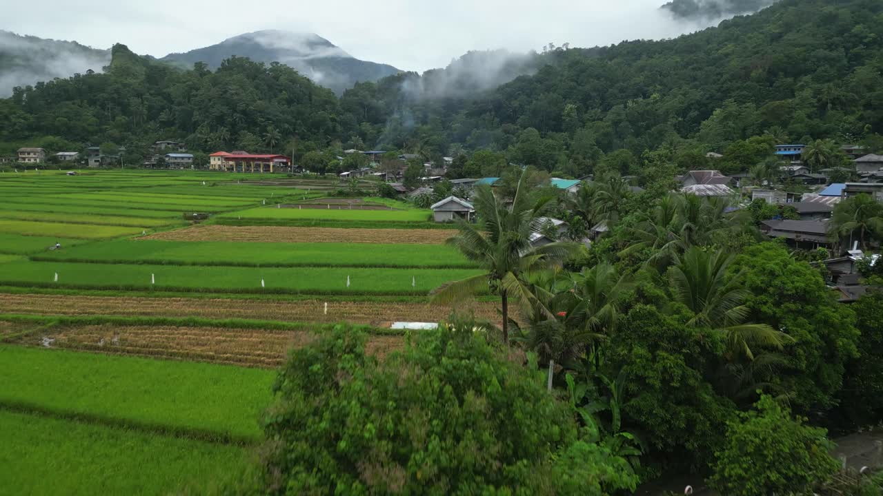 Captured from above, neat rice paddies stretch across a lush Philippine valley, bordered by palm trees and a forested village, with mist-covered hills rising in the distance