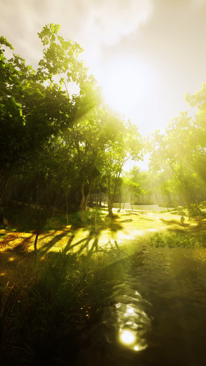 Warm sunlight breaks through leafy canopy in serene forest landscape
