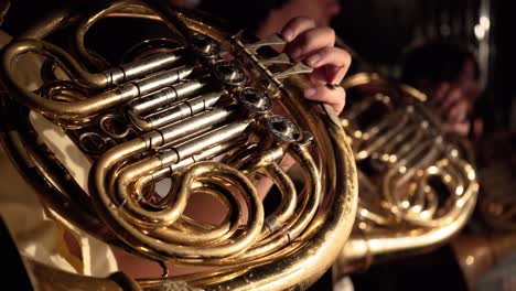 musicians playing french horns in an orchestra